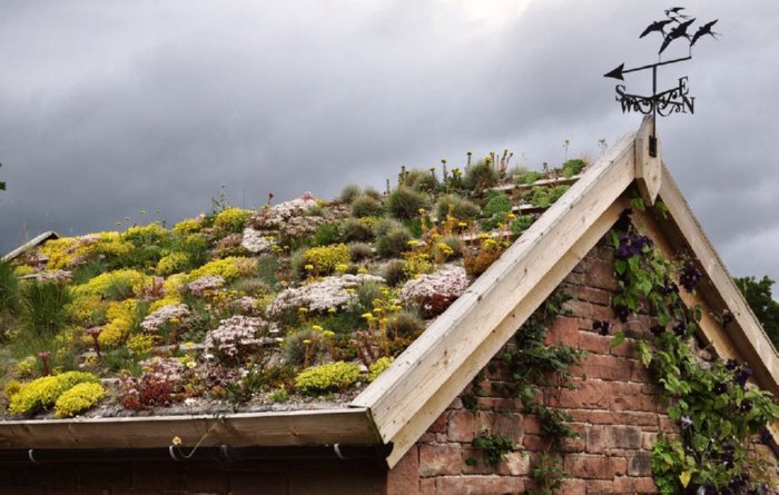 green roof